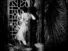 The Pleasure Garden (1925)Virginia Valli